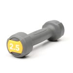 Life Fitness Studio Urethane Dumbbell, 2.5LB - grey with light yellow accents