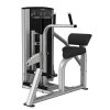 Axiom Abdominal / Back Extension machine - platinum frame, black uphostery